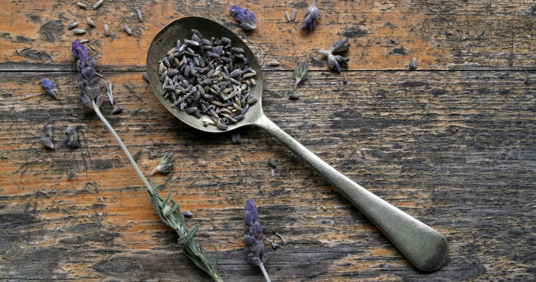 Lavender Ritual Sachets Benefits: A Complete Guide